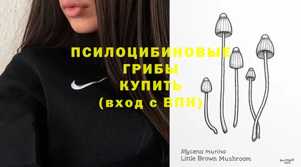 ПСИЛОЦИБИНОВЫЕ ГРИБЫ Протвино